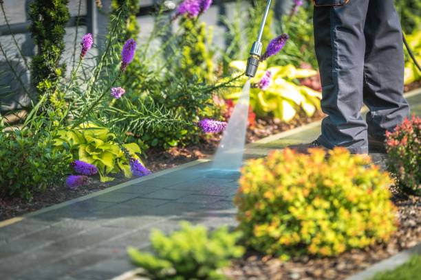 Best Winterizing Services  in Lake Mathews, CA